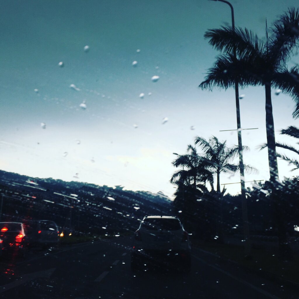 厦门环岛路