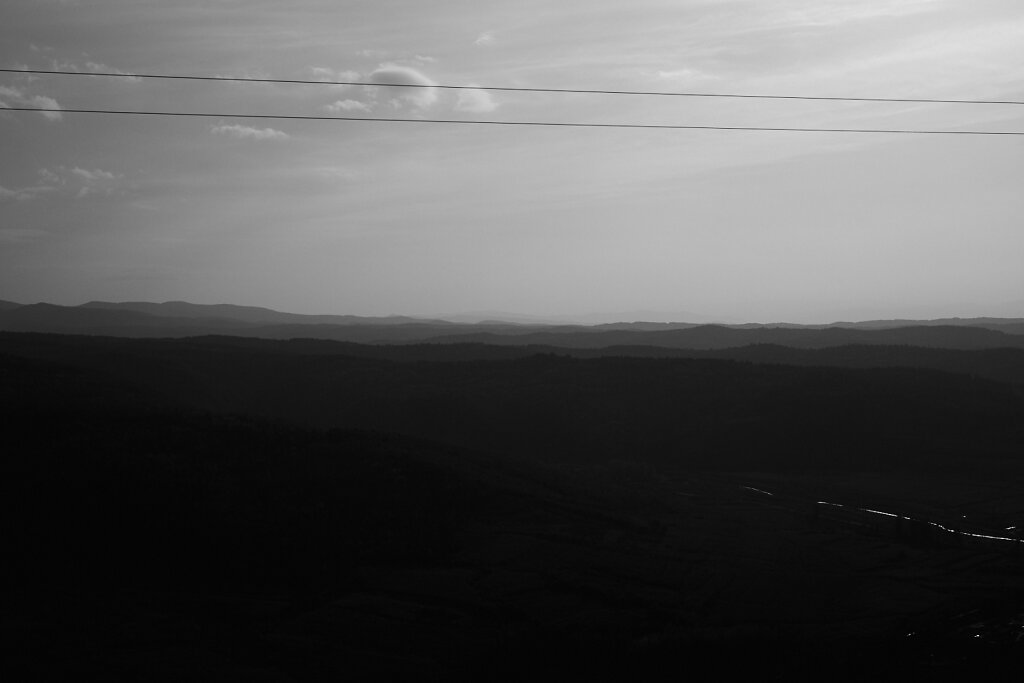 Trip