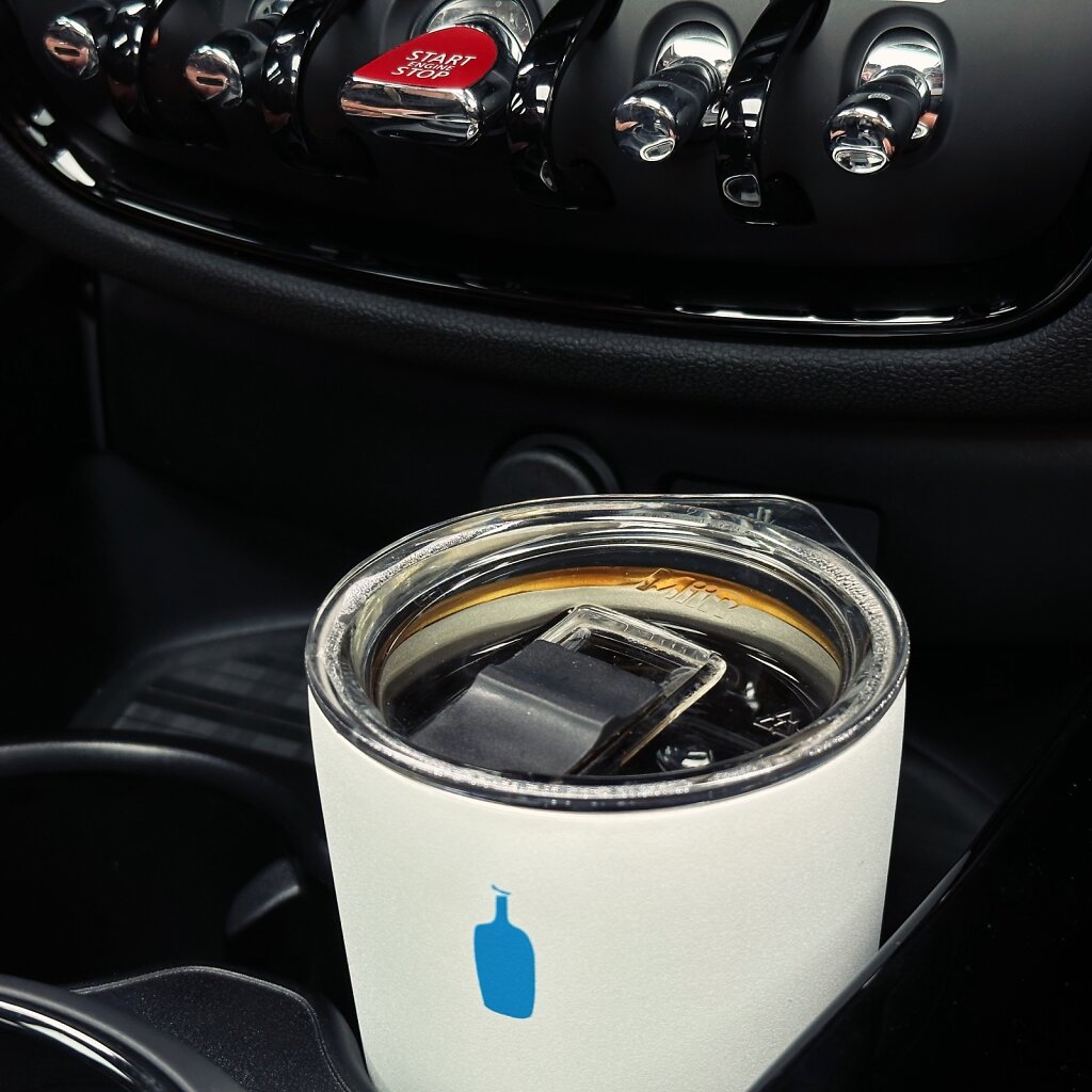 bluebottle
